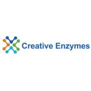 Creative Enzymes