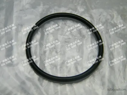 Уплотнительное кольцо 2445R152D1
