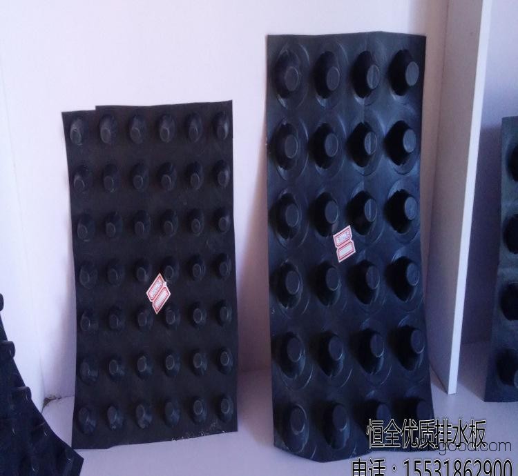 车库顶板排水版（厂家）塑料建材   卷材排水  排水舒畅