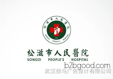 Wuhan Corporate Image VI Design, Wuhan Corporate Trademark Design, Wuhan Corporate LOGO Design