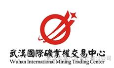 Provide Wuhan LOGO design, Wuhan corporate trademark design, corporate image VI design,