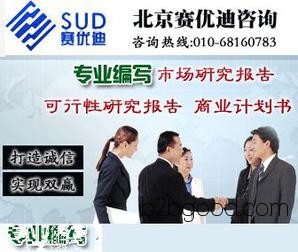 Report on the Feasibility Study of the Investment Project for Glyceraldehyde Production
