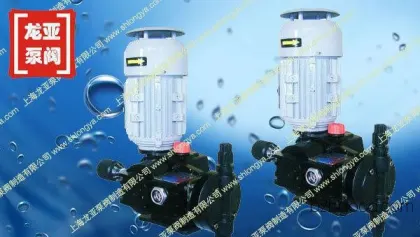 Shanghai GM240/0.7 Pre-medicine Pump, Propionic Acid Metering Pump