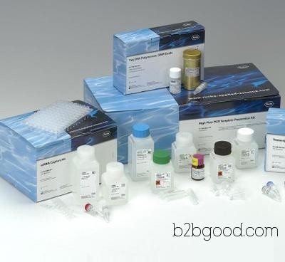 Rabbit Glyceraldehyde 3-Phosphate Dehydrogenase (GAPDH) ELISA Kit