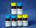 Glucokinase/Phosphoglycerate kinase