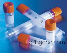 3-Glyceraldehyde Dehydrogenase Antibody | GAPDH Antibody Manufacturers
