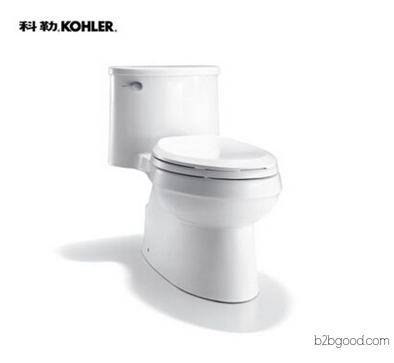 {Golden Autumn · Kohler} Kohler Aideer Level 5 Whirlpool Combined Toilet 5171T/4983T