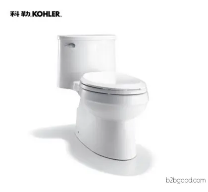 {Golden Autumn · Kohler} Kohler Aideer Level 5 Whirlpool Combined Toilet 5171T/4983T