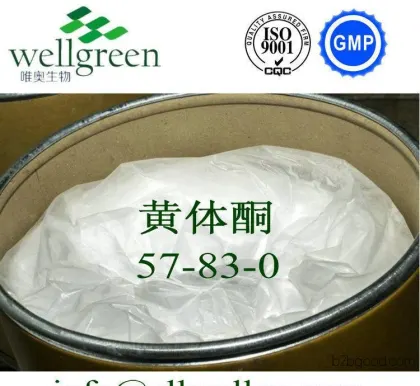 Manufacturer, Progesterone, Progesterone Hormone, Contraceptive Injection, Active Pharmaceutical Ingredient, Progesterone, Fertility Stimulant, Natural Fertility Stimulant