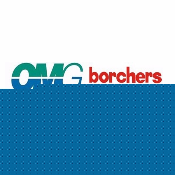 BorchersAscinin Nox M2 антиоксидант на основе метилэтилкетоксима Ascinin Nox M2