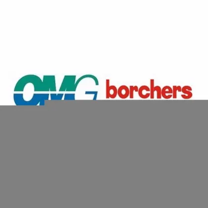BorchersAscinin Nox M2 антиоксидант на основе метилэтилкетоксима Ascinin Nox M2