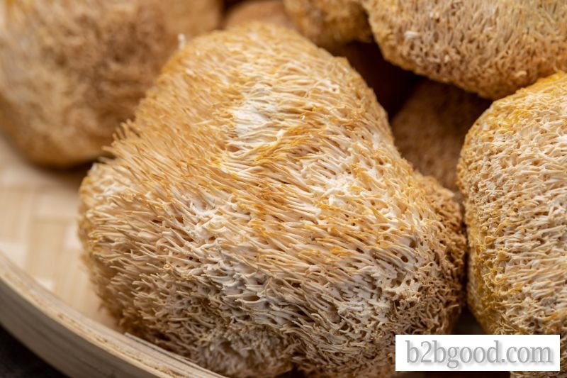 Royal Expo Garden Hericium mushroom 250g original ecological agricultural products