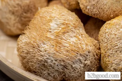 Royal Expo Garden Hericium mushroom 250g original ecological agricultural products
