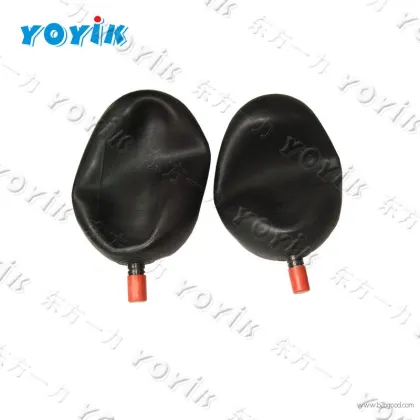 YOYIK Bladder & Gas valve NXQ-AB-100/31.5-L-Y