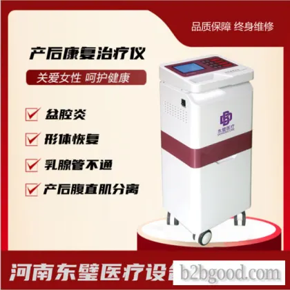 低频产后治疗仪-理疗电极片