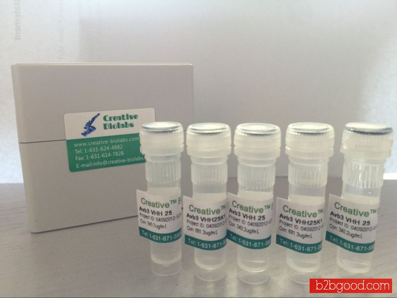 Anti-CD70-VC-rachelmycin ADC