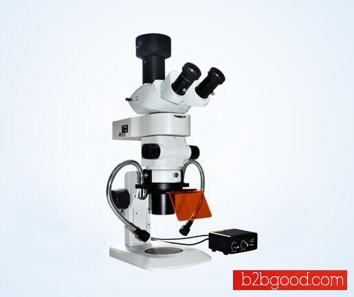 MZX81 stereo fluorescent microscope with LED fluorescent illumination