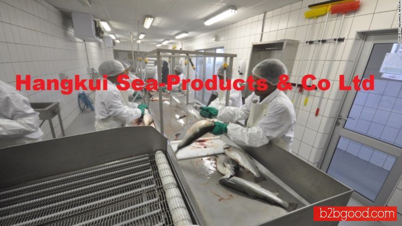 Nile Perch Fish Fillets