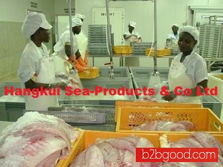Nile Perch Fish Fillets