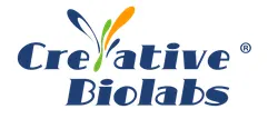3D Cell Culture