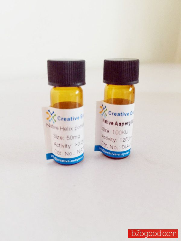 L-Methionine γ-Lyase, Recombinant