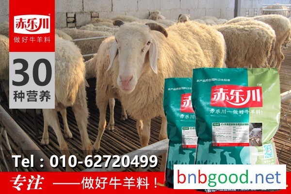 赤乐川Y640育肥羊快速育肥饲料