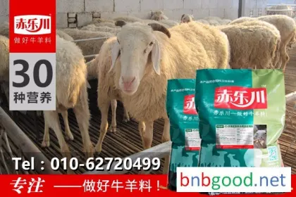 赤乐川Y640育肥羊快速育肥饲料