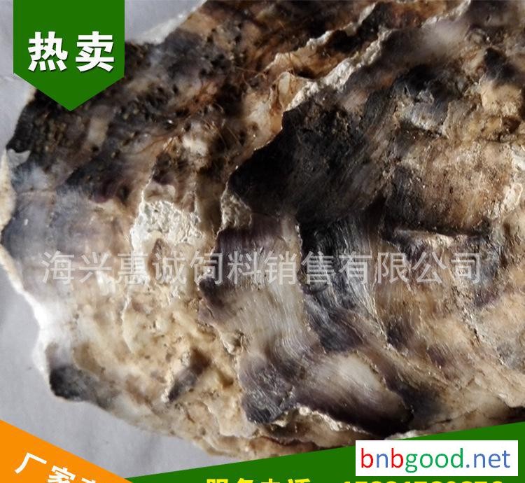 优质饲料 生牡蛎壳粉 畜禽专用高钙粉