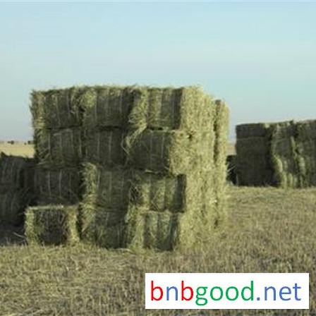 Han Lun Grass Industry, Yang Cao, Northeast Yang Cao, Feed, Livestock Grass, Yang Cao Wholesale