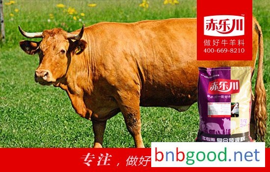 育肥期杂交牛上膘预混料 肉牛饲料