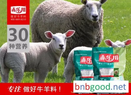 赤乐川Y940 母羊复合饲料