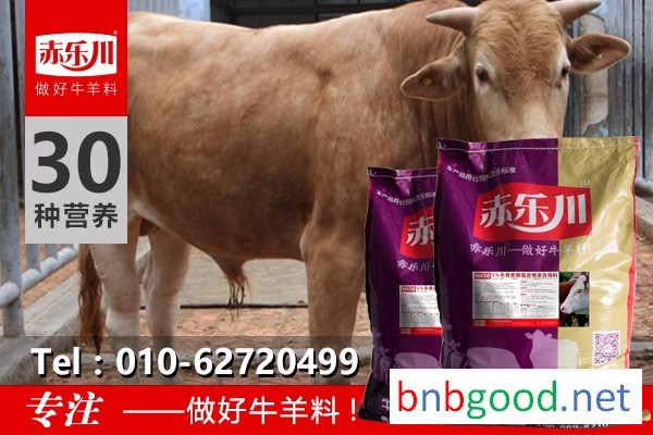 Chile Lechuan N650 5% Beef Cattle Special Feed