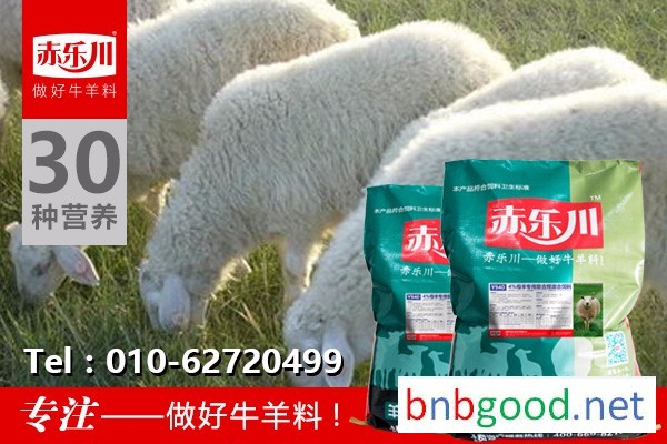 Chilechuan Y940 Small Tail Han Sheep Mother Sheep Nutritional Feed