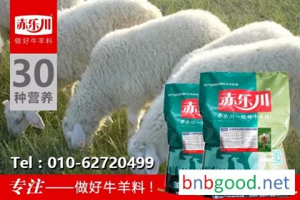 Chilechuan Y940 Small Tail Han Sheep Mother Sheep Nutritional Feed