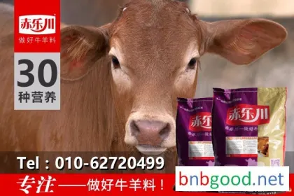 赤乐川N350 鲁西犊牛增肥饲料