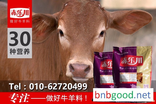 Chile Lechuan N350 sells calf feed
