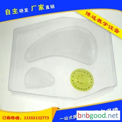 Boda 33001 Plant Cell Model, Cell Model, Plant Cell, Biological Model, Biological Teaching Aid, Junior High School Biology Instrument, Student Classroom Experiment Equipment, Cytology Model