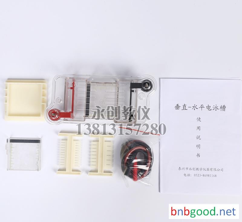 High School Biology Instrument 21022 Horizontal Electrophoresis Tank