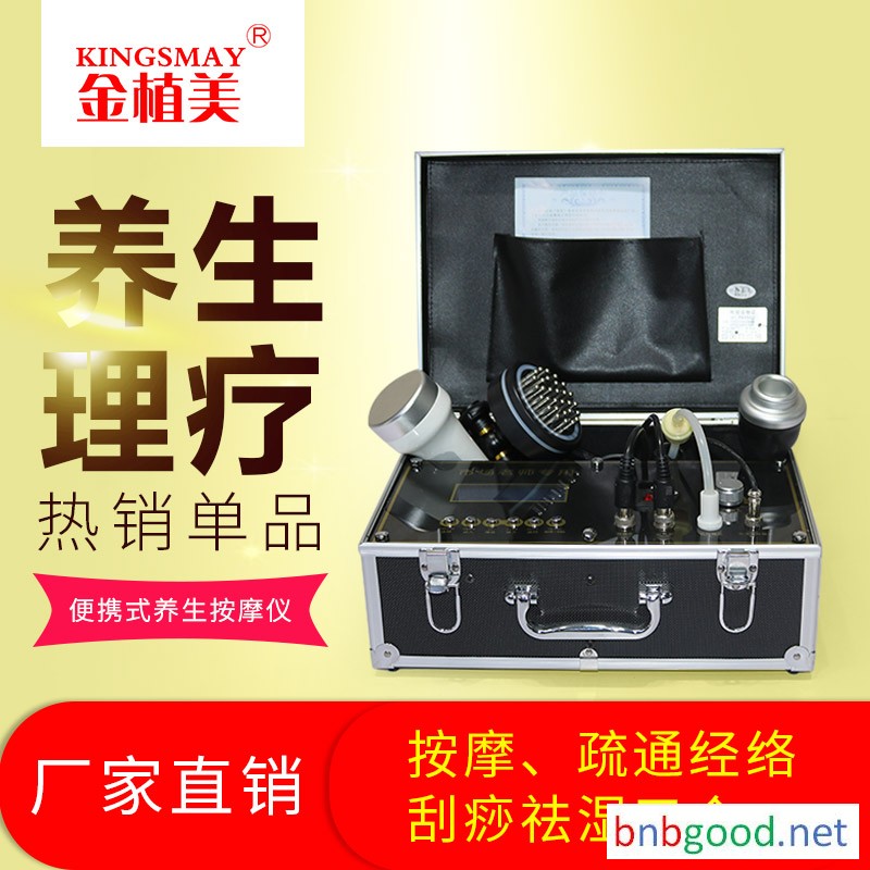 箱式养生仪 微电经络刷DDS生物电疗仪 负压刮痧按摩磁疗养生仪器