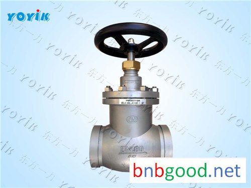 Exclusive offer Globe throttle check valve LJC50-1.6P