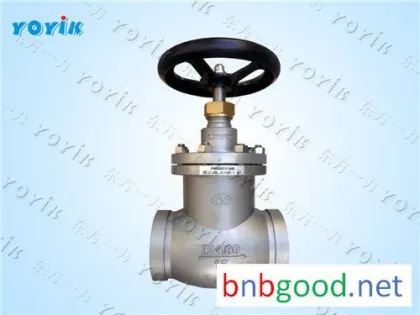 Exclusive offer Globe throttle check valve LJC50-1.6P