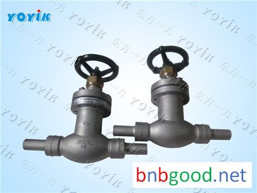 Power plant spare globe valve SHV20