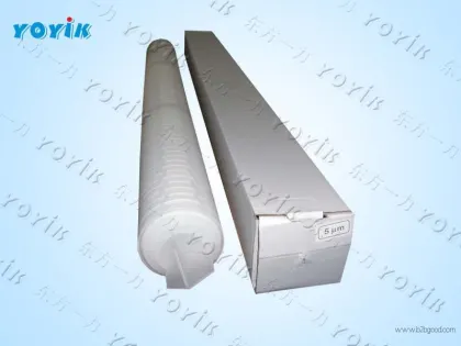 Deyang generator stator cooling water filter SGLQB-1000