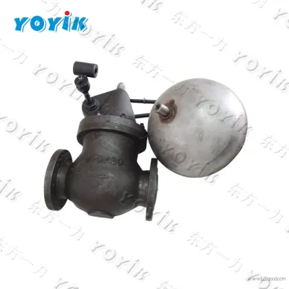 Dongfang yoyik bellows relief valve	BXF-25