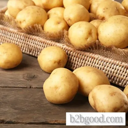Китайский высококачественный картофель