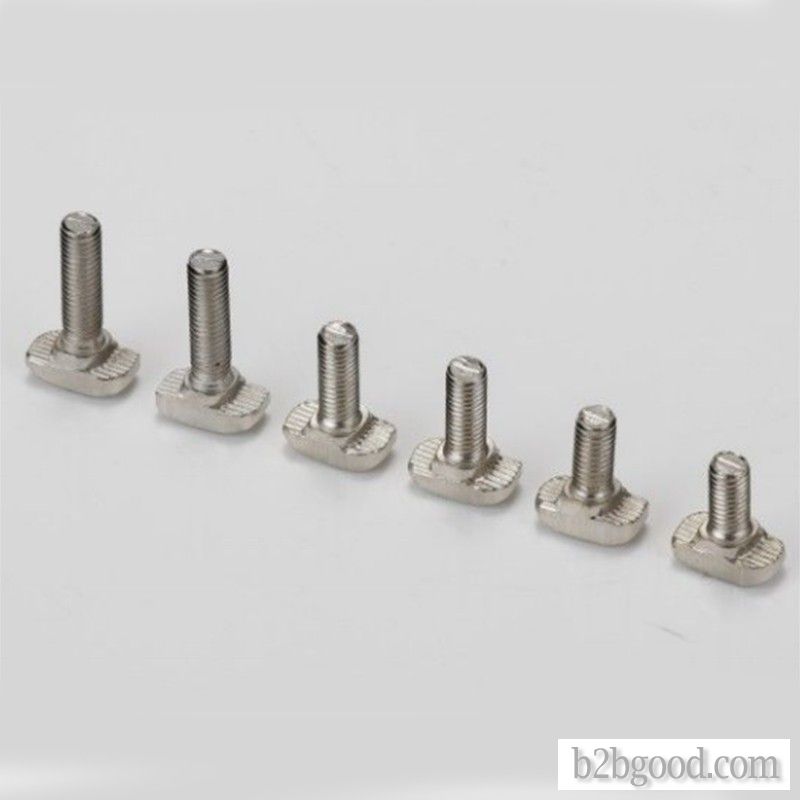 European standard T-bolts series -30