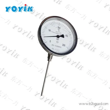 YOYIK Temperature gauge with switch WSSX-481