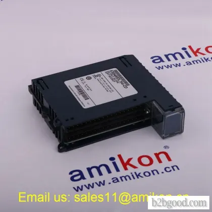 GE IC693PWR321S | Power Supply