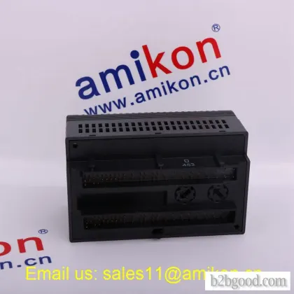 GE IC693APU300 | Profibus Master Module