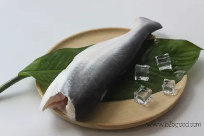 Frozen Pangasius Fish / Basa fish / Swai fish